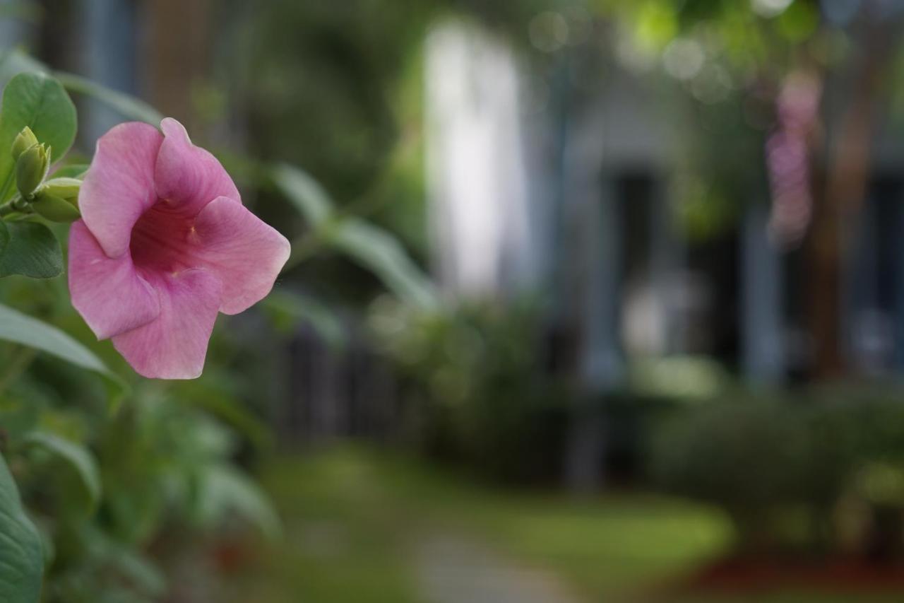 Phu Quoc Hotel Exterior foto